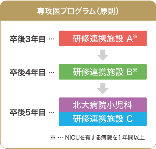 北海道大学小児科研修プログラムの概要図