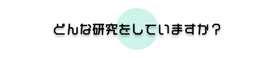 どんな研究をしていますか?